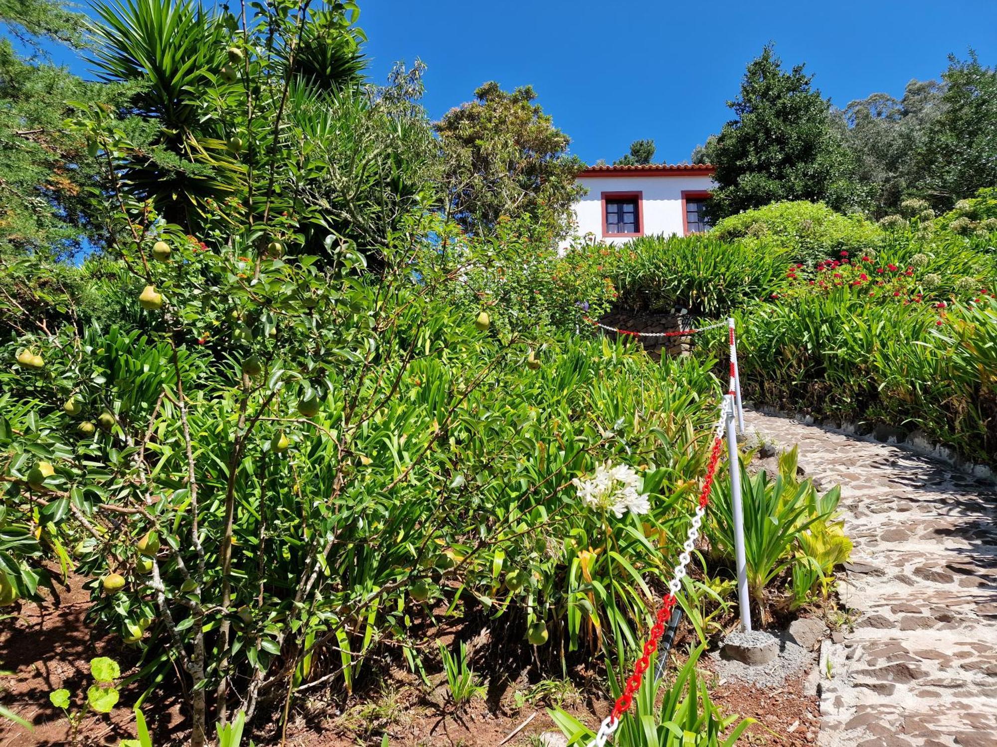 Cantinho Rural Camacha  Exterior photo